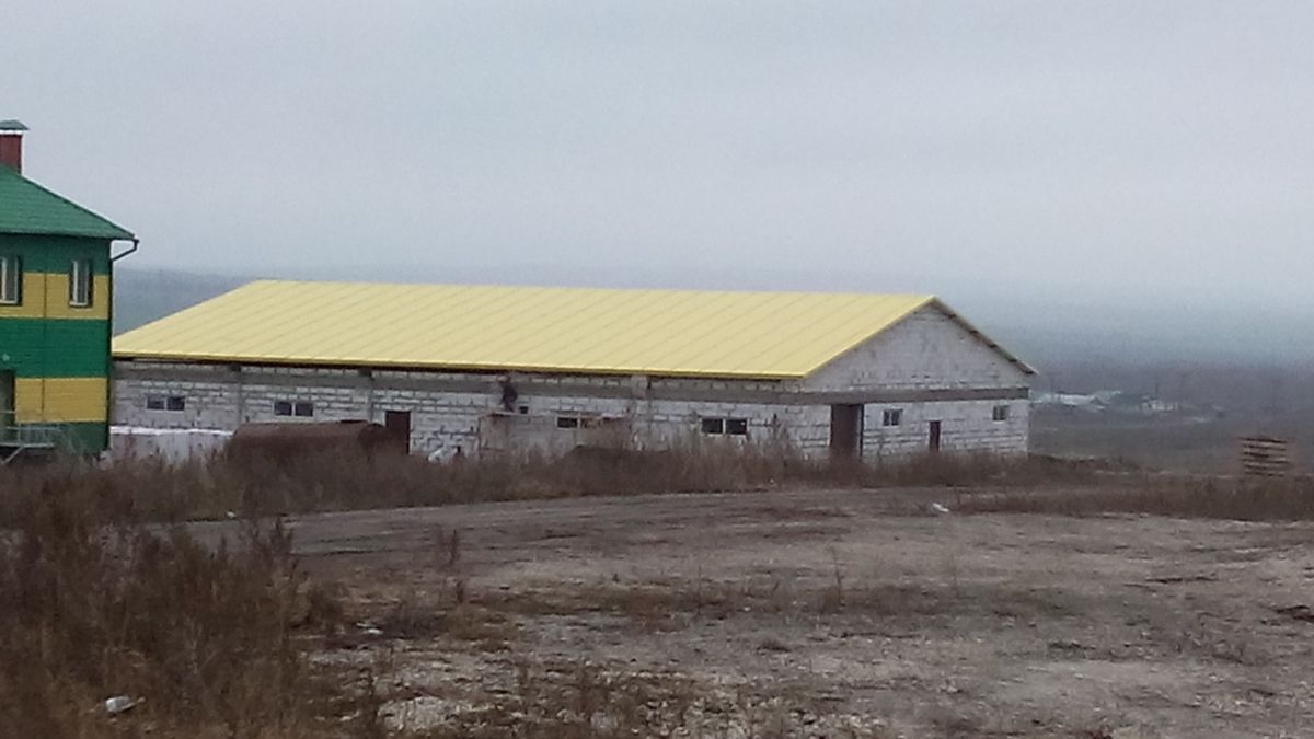 г.Сызрань